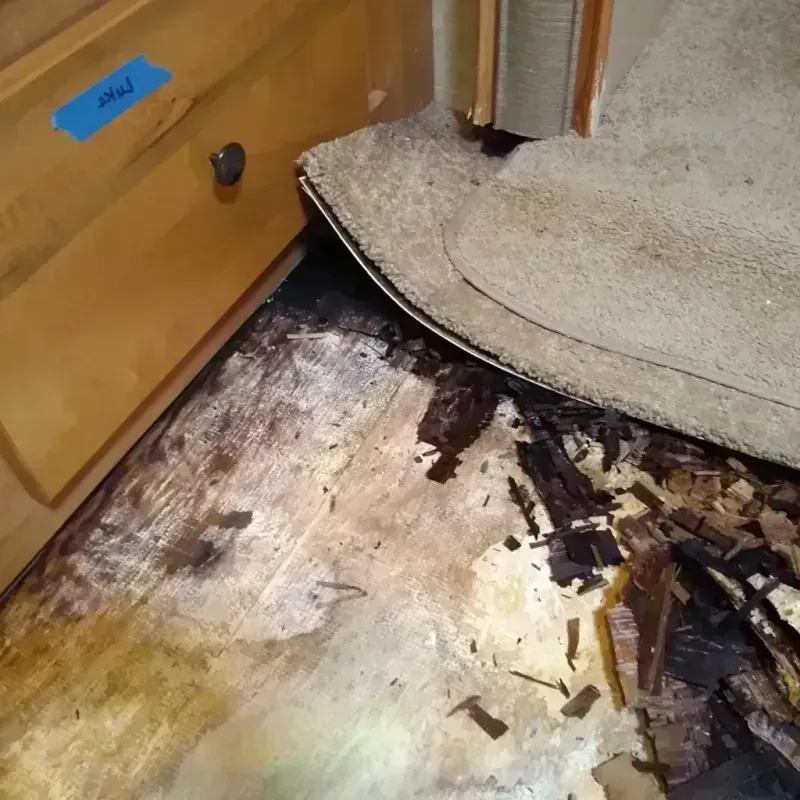 Wood Floor Water Damage in Biggs, CA